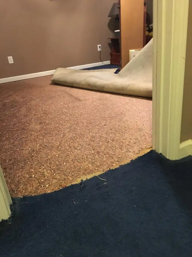 Carpet pad removal revealing water damage during Water Mitigation Services in New Windsor